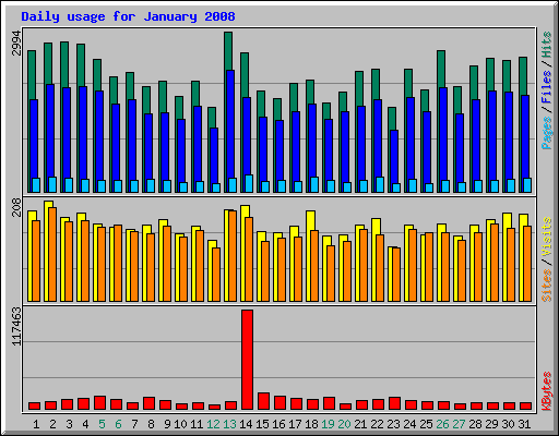Daily usage for January 2008