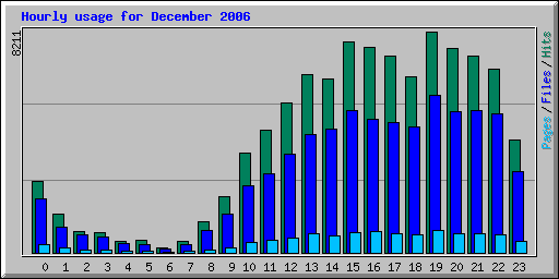 Hourly usage for December 2006