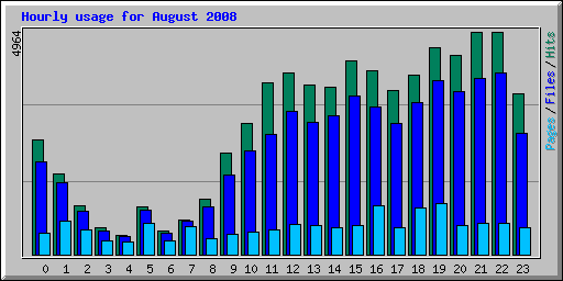 Hourly usage for August 2008